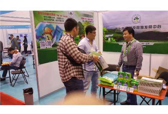 億昌菌業(yè)赴青島參加行業(yè)盛會-1.JPG 億昌菌業(yè)赴青島參加行業(yè)盛會-1.JPG