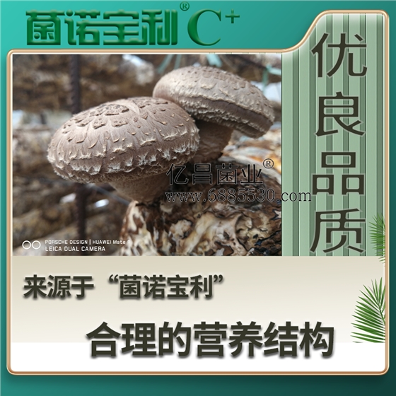 億昌菌業(yè)菌諾寶利C+：注水C+（網(wǎng)頁版）PC-4（優(yōu)良品質(zhì)，來自于&ldquo;菌諾寶利&rdquo;合理的營養(yǎng)結(jié)構(gòu)）.png
