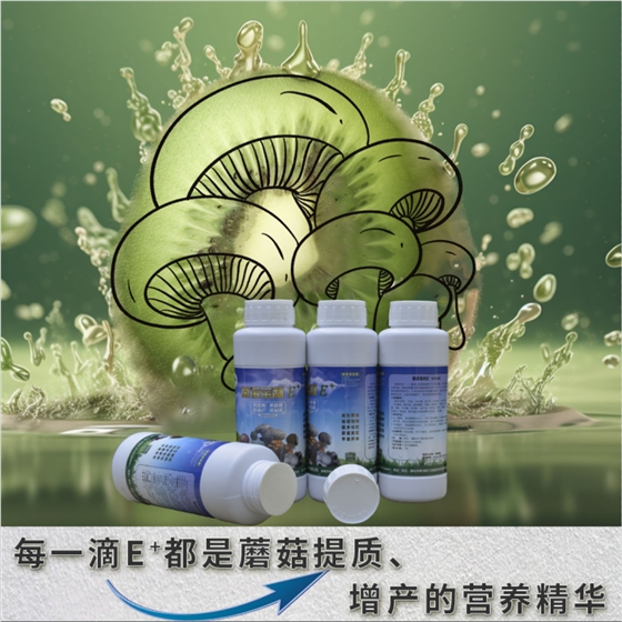 菌諾寶利E+（網(wǎng)頁-11）每一滴E+都是蘑菇長大、長厚的營養(yǎng)精華