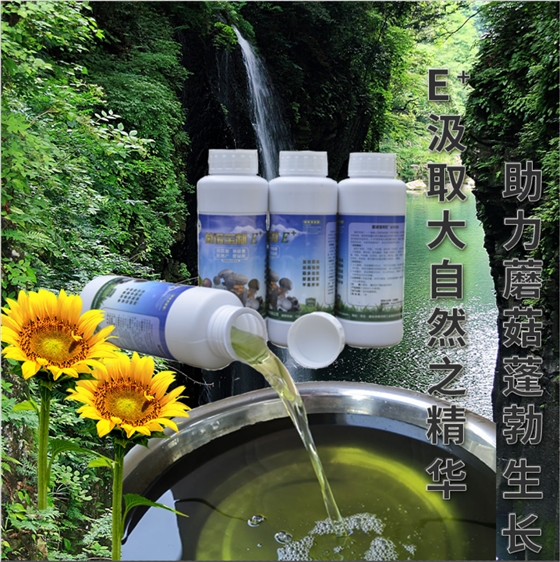 菌諾寶利E+（網(wǎng)頁-12）E+汲取大自然之精華，助力蘑菇蓬勃生長