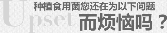 種植食用菌您還在為以下問(wèn)題而煩惱嗎？