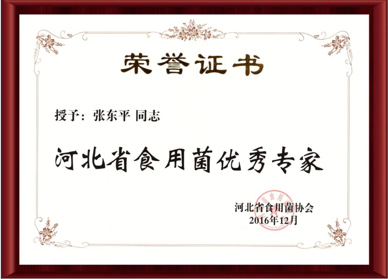 2016河北省食用菌優(yōu)秀專家-億昌菌業(yè)（截屏）.jpg