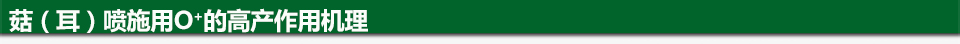 噴施O+高產(chǎn)作用機(jī)理（960&times;44）.jpg