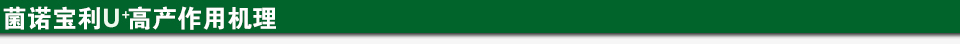 菌諾寶利U+高產(chǎn)作用機(jī)理.jpg 菌諾寶利U+高產(chǎn)作用機(jī)理.jpg