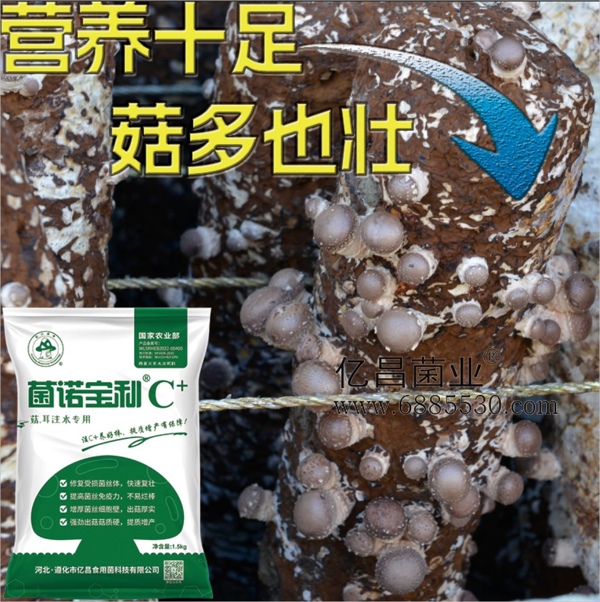 億昌菌業(yè)-注水C+（網(wǎng)頁版）PC-7）營養(yǎng)十足，菇多也壯