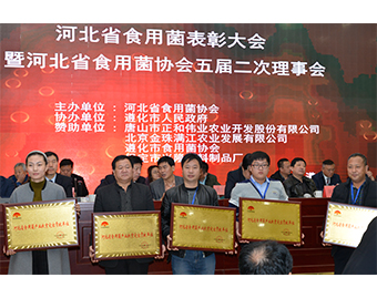 遵化市億昌食用菌科技有限公司被授予“河北省食用菌產(chǎn)業(yè)扶貧突出貢獻單位”榮譽，張東平（中）接授牌匾
