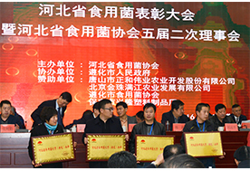 2016.12.10“億昌菌業(yè)”被授予“河北省食用菌優(yōu)秀（特色）品牌”榮譽(yù)稱號，張東平（左三）接授縮略圖