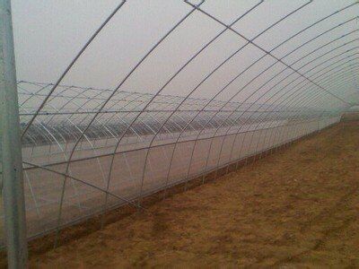 GB 12728—91** 食用菌術(shù)語—億昌菌業(yè)