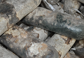 食用菌競(jìng)爭(zhēng)性雜菌的防治方法，億昌菌業(yè)專家給您出高招