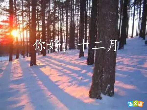 十二月份菌事活動(dòng)-億昌菌業(yè)