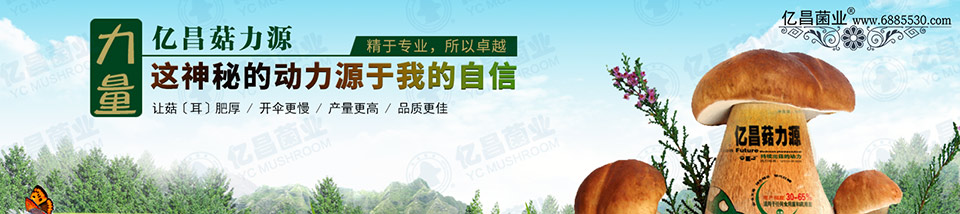 億昌菇力源——讓菇（耳）肥厚、開傘更慢、產(chǎn)量更高、品質(zhì)更佳