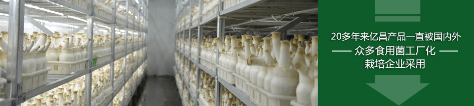 —— 享用億昌科技，沐浴菌業(yè)陽光 ——