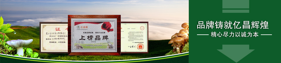 精心盡力以誠為本，品牌鑄就億昌輝煌！